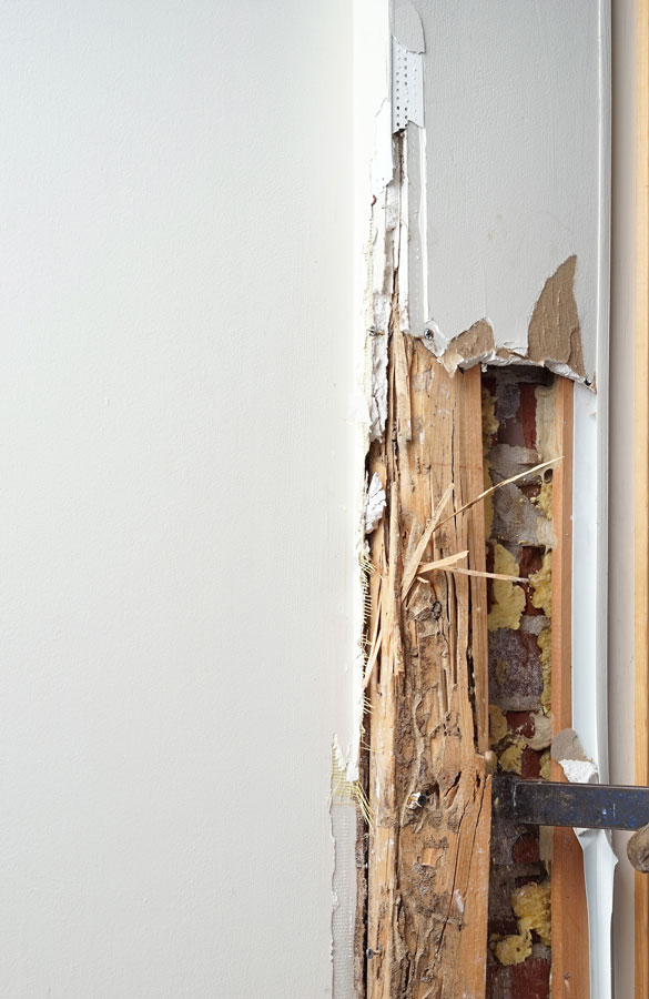 Termite Inspections - OzPest Solutions