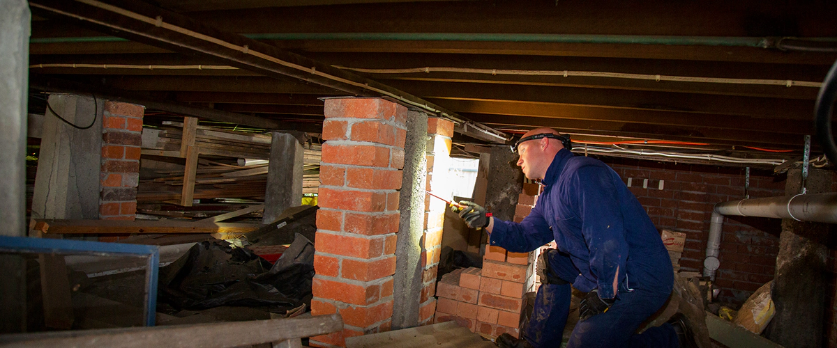 how-long-does-pre-construction-termite-treatment-last