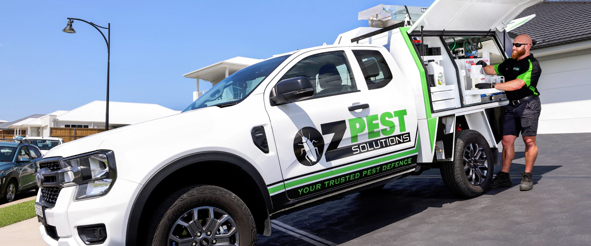 best-termite-control-methods