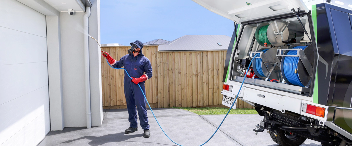 pest-control-tips-for-summer
