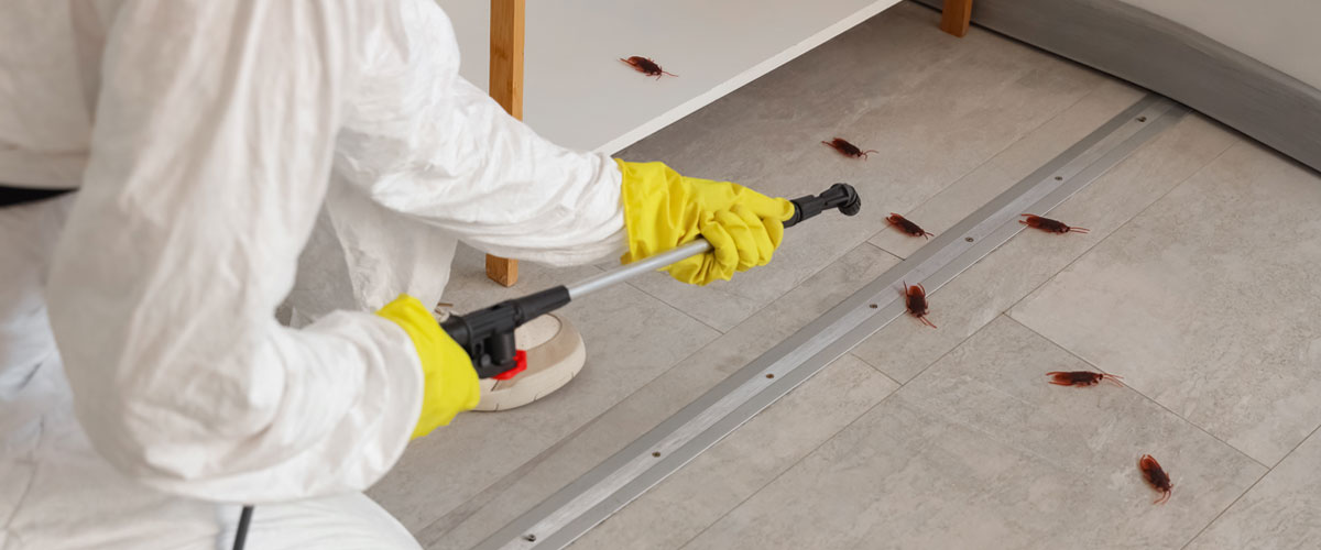 commercial-pest-control