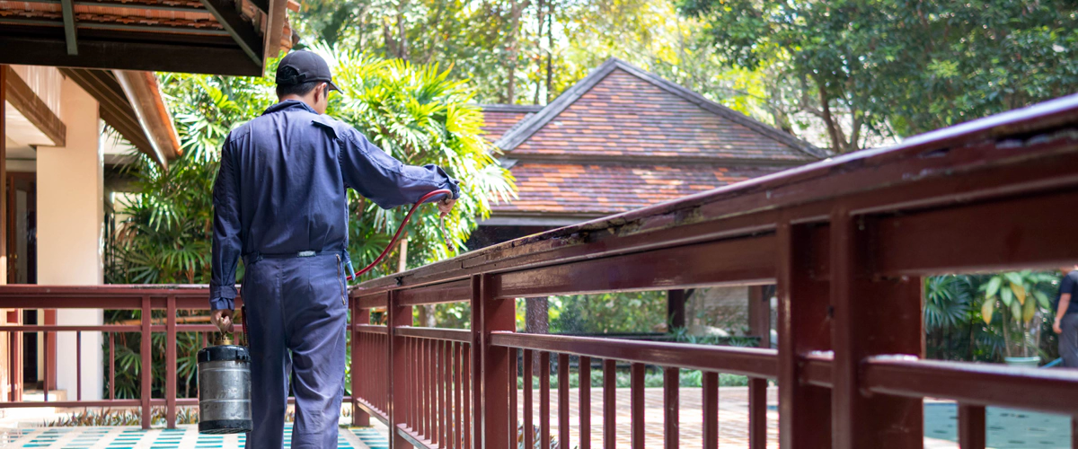 Australian Standards for Termite Protection in New Homes