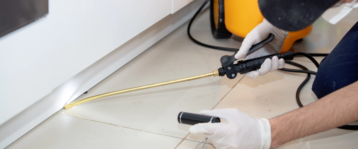 Hazards-Of-Skipping-Pre-Construction-Termite-Control