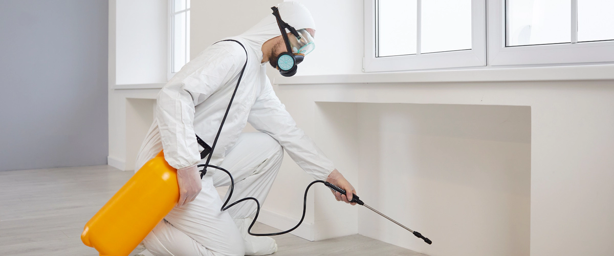 Rodent Pest Control